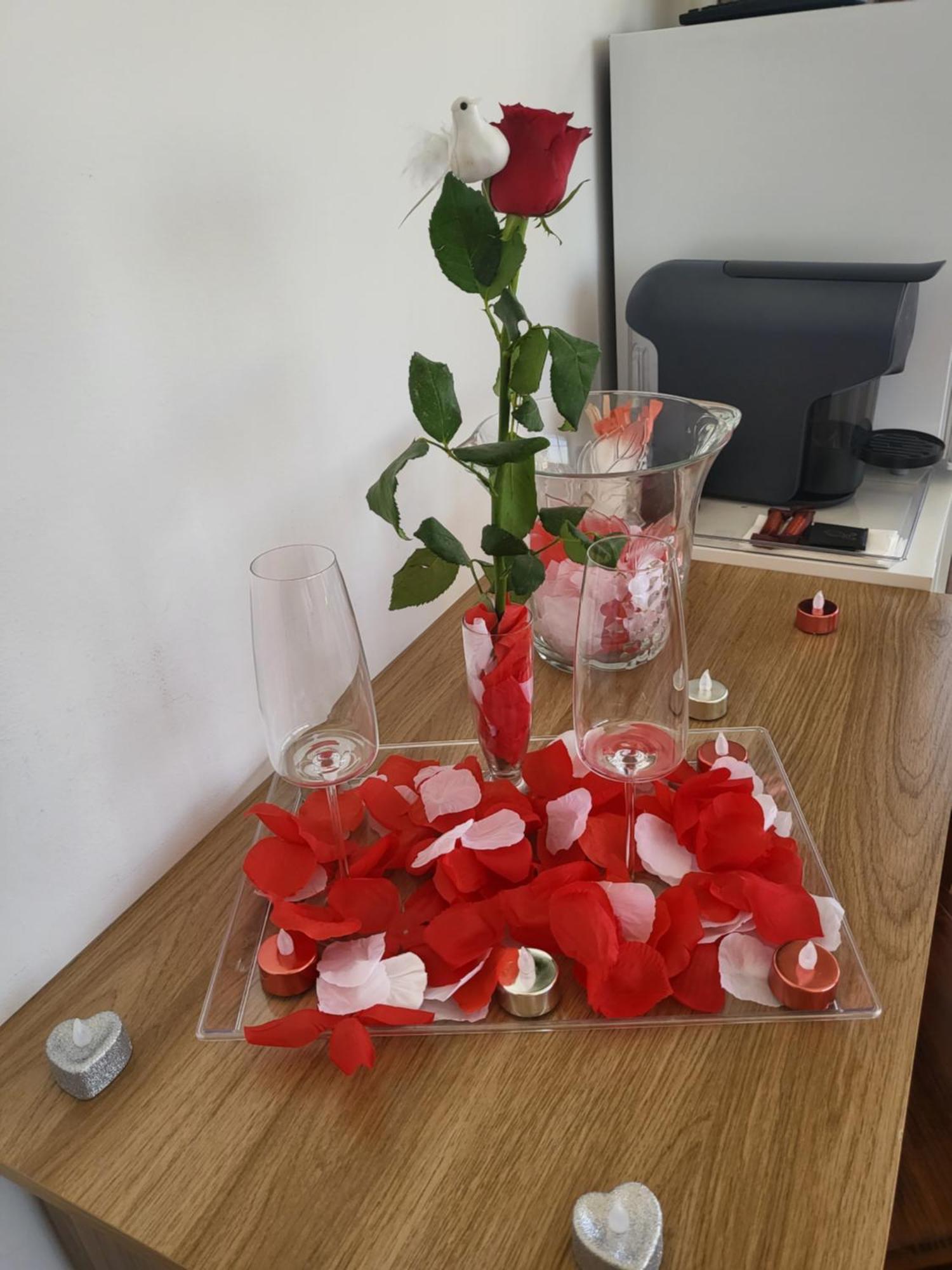 Apartament A Minha Alegre Casinha Aveiro Zewnętrze zdjęcie